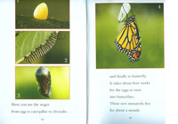 Nature Book