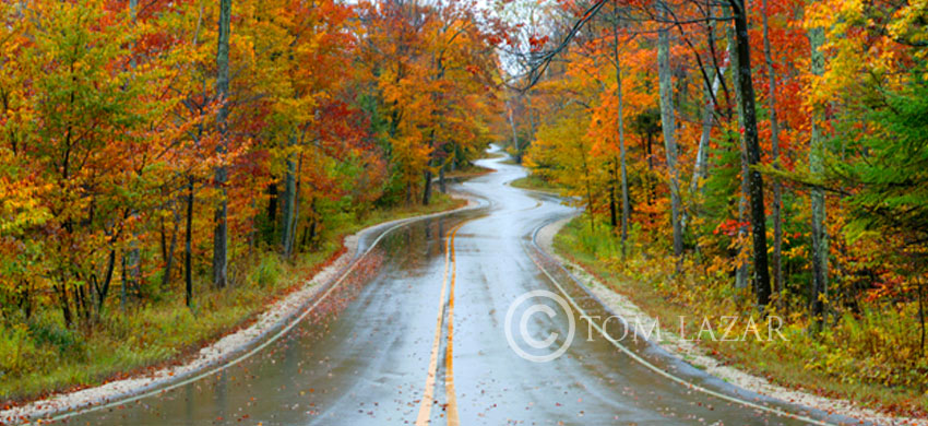 Autumn Road
