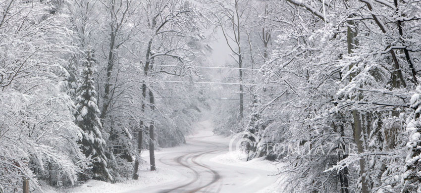 The Road Less Traveled