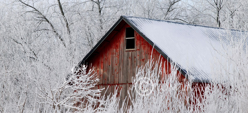 Barn
