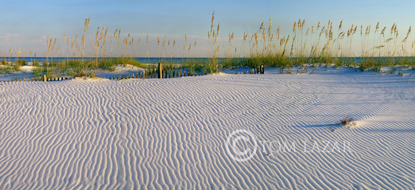 Along the Seashore