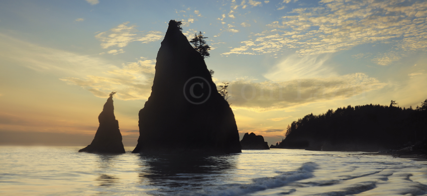 Sea stacks along Pacific Coast