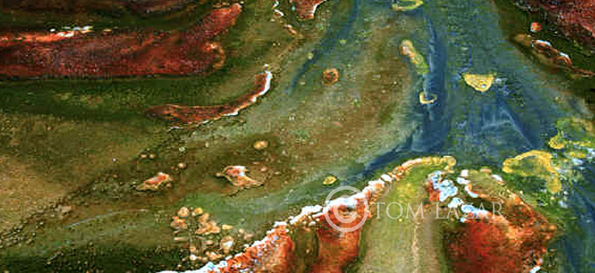 Living Earth