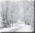 Winter Road