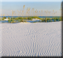 Sands